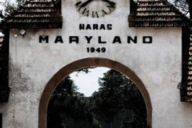 Criadero Los Condores en “Haras Maryland” y “X Potro del Futuro, Tandil, Argentina