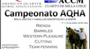 Campeonato Otoño AQHA – ACCM