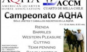 Campeonato Otoño AQHA – ACCM
