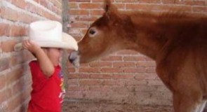 PREPARACIÓN PARA EL NACIMIENTO
