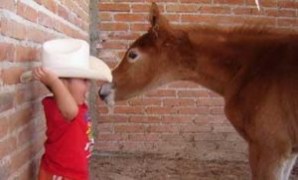 PREPARACIÓN PARA EL NACIMIENTO