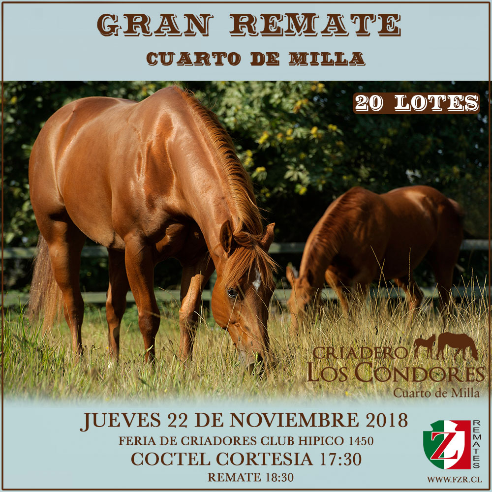 Asociación Chilena de Criadores de Caballos Cuarto de Milla Asociación Chilena de Criadores de Caballos Cuarto de Milla