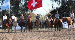 Clínica Sandra Gerber Horse Training