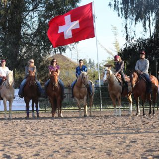 Clínica Sandra Gerber Horse Training