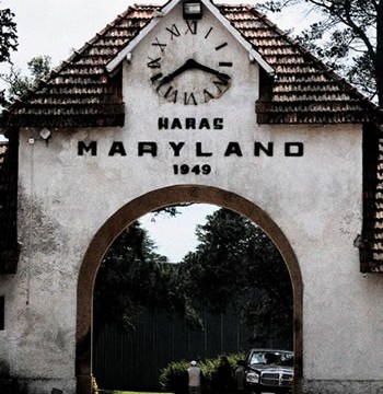 Criadero Los Condores en “Haras Maryland” y “X Potro del Futuro, Tandil, Argentina