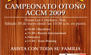 Atención Socios ACCM