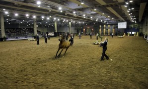 Pasión western en «Fiera Cavali»