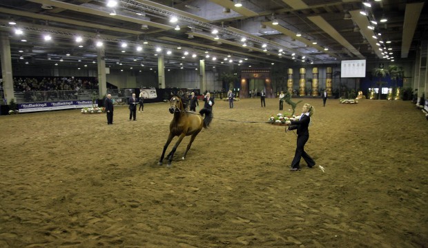 Pasión western en «Fiera Cavali»