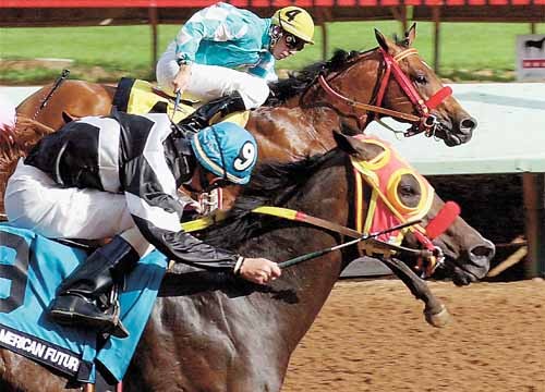 Fiesta de Millones y Velocidad en la Final del  «All American Futurity»