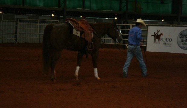 AQHA Latin American Championship 2014