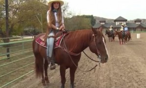 Reportaje al Criadero Los Cóndores, primer criadero de caballos cuarto de milla en Chile.