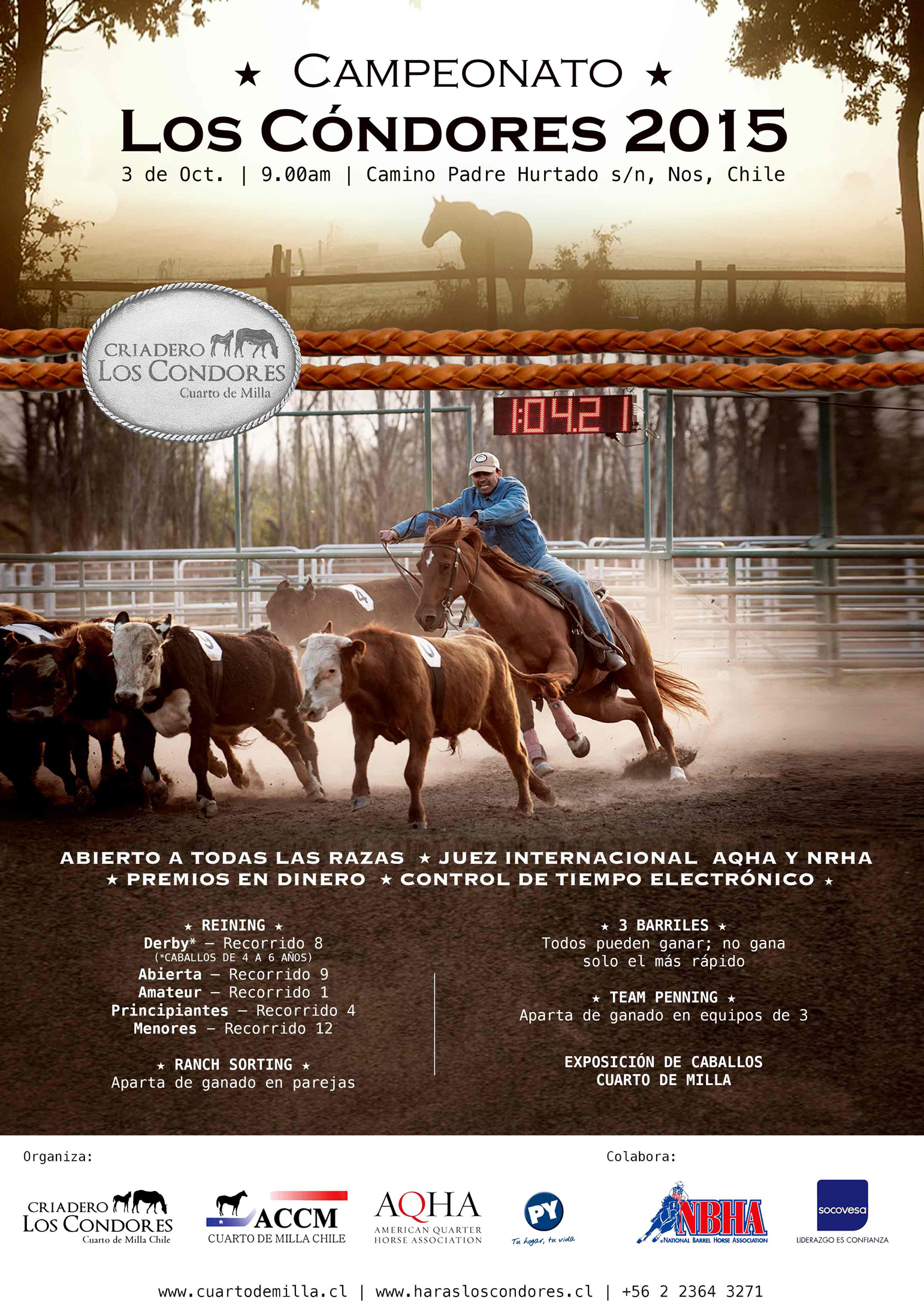 afiche-los-condores-2015-featured