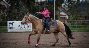 Campeonato Ecuestre Criadero Los Cóndores 2015 Organizado por la ACCM