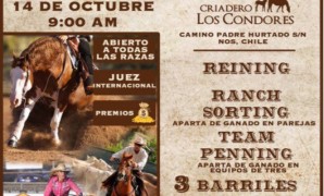 Gran Campeonato Criadero Los Cóndores 2017