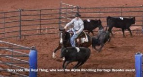 2016 AQHA Amateur Ranch Sorting