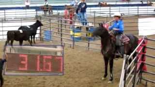 Ranch Sorting National Championships- Ranch Sorting at its Best!