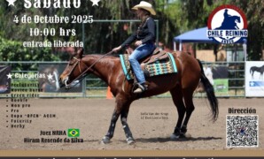 Copa Los Cóndores ACCM 2025