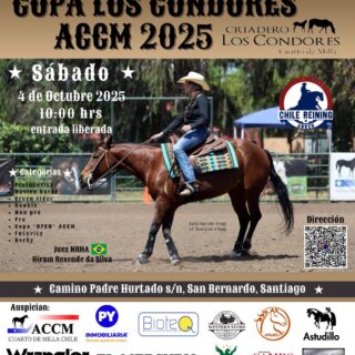 Copa Los Cóndores ACCM 2025